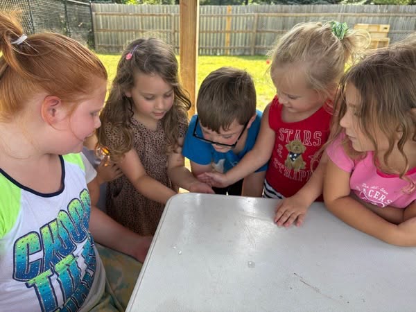 Group of school age children gathered outdoors exploring a nature discovery activity at The Nest
