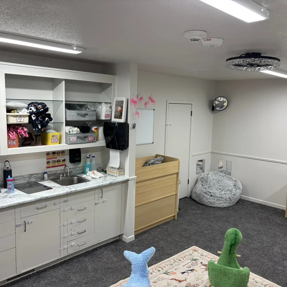 Flamingos care station with sink, changing table, cozy bean bag, and organized supplies